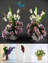 3DDD Flower highres models