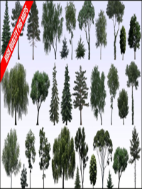 Evermotion Textures4ever vol 8 Trees