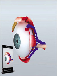 DOSCH DESIGN 3D Medical Details Human Eye