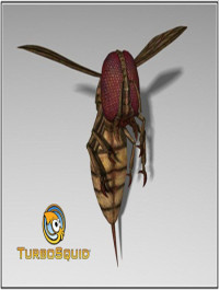 TurboSquid Monstrous Blood Wasp