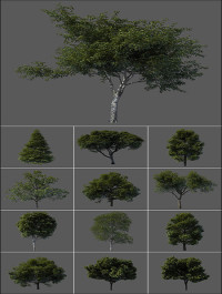 3D Models Tree from Vargov