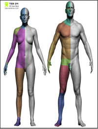 3D Scan Store Male and Female Base Mesh Bundle