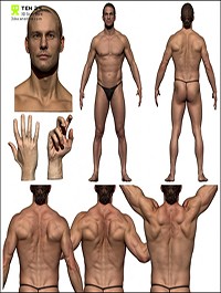 3D Scan Store Colour Male Anatomy Bundle 01