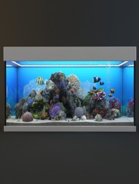 Marine Aquarium