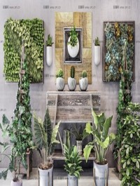 Modern Monstera Dripping Water Wall Potted Plant Collection