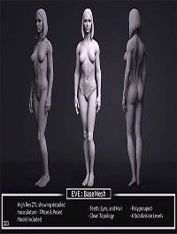 Female BaseMesh - Eve - ZTool 4R8