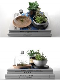 Cgtrader Books with Succulents and Air Plant 3D model