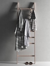 Ladder with Towels 2 3D model