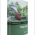 CGAxis Trees 3D Models Collection – Volume 109