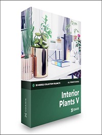 CGAxis Interior Plants 3D Models Collection – Volume 111