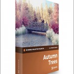 CGAxis Autumn Trees 3D Models Collection – Volume 115