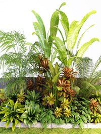 Palm composition 3D model