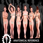 3d scan – Anatomical reference bundle 003