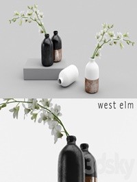 Westelm vases with Orchids