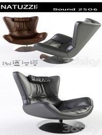 Natuxxi Sound Arm Chair