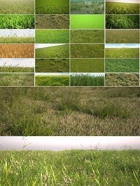 R & D Group iGrass vol 1 3D Models of Grass Field Plants