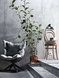 Casual chair Plant & Decor set Combination