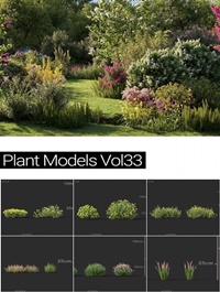 MAXTREE Plant Models Vol 33