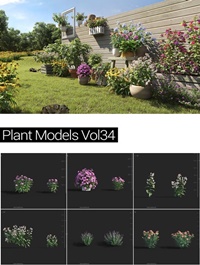 MAXTREE Plant Models Vol 34