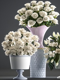 Collection of flowers 58 White bouquets