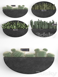 Vertical gardening 55