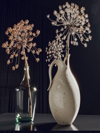 Modern dry branch vase