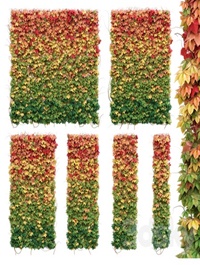 Wall from autumn leaves Set of 6 models