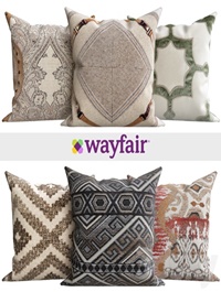 Decorative pillows from Wayfair shop
