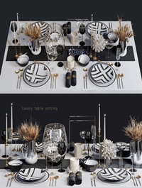Luxury table setting L