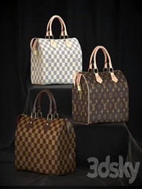 Louis Vuitton Speedy 25
