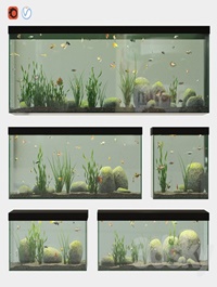Aquarium set
