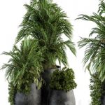 Indoor Plant Set 113 – Black Pot