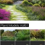 MAXTREE Plant Models Vol 61