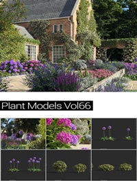 MAXTREE Plant Models Vol 66