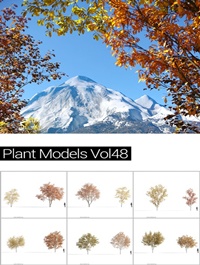 MAXTREE Plant Models Vol 48