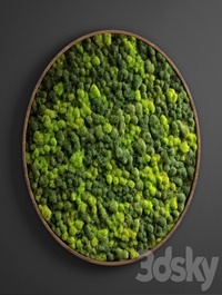 Panel moss circle