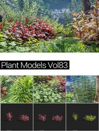 MAXTREE,Plant, Models, Vol ,83