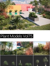 MAXTREE Plant Models Vol 75