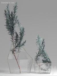 Branches in vase