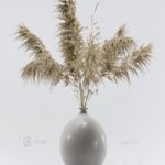 Vase with dried flowers 0001