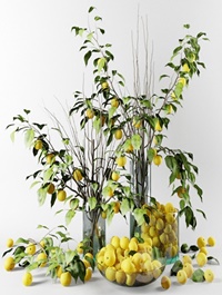 Bouquet of Chinese apple tree branches with yellow apples