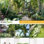 Bundle 32 – Brazilian Home & Garden