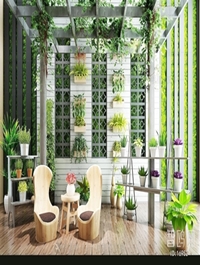 Sun room balcony courtyard/landscape green plants potted