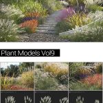 MAXTREE – Plant Models Vol 9