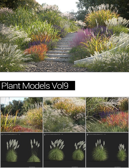 Maxtree - Plant Models Vol 9