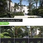 MAXTREE – Plant Models Vol 71