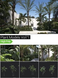 MAXTREE - Plant Models Vol 71