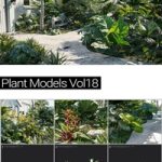 MAXTREE – Plant Models Vol 18