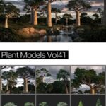 MAXTREE – Plant Models Vol 41