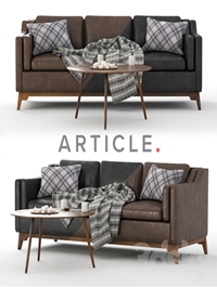Worthington Sofa and Coffe Table Amoeba